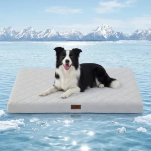 Cooling Dog Bed for Crate