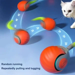 Smart Dog Toy