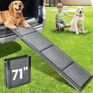 Dog Ramp  71''x 17.3''